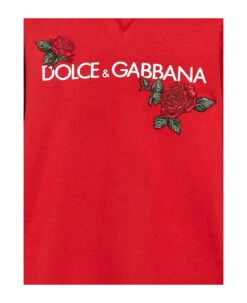Dolce & Gabbana Embroidered Logo Print Hoodie -Golden Goose Shop 41d338a1c2a46713b02defcb0e769cb6