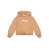 Chloé Stone Hoodie With Logo -Golden Goose Shop 8bb484a59c7e6b232d63925a9fc97acb
